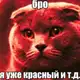Аватар канала ` info drynnost