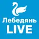 Аватар канала Лебедянь LIVE