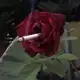 Аватар канала R.U. Mine ?