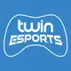 Аватар канала Twin Esports