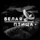 Аватар канала белая птица