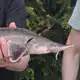 Аватар канала Дневник Рыбалок🐟🫯