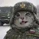 Аватар канала СВО кф | Специальная Военная Операция confession 🇷🇺