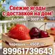 Аватар канала Ягоды Екатеринбург