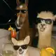 Аватар канала Базовый минимум