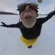 Аватар канала bee