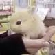Аватар канала архив ваты