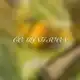 Аватар канала Bℒąִׁ‌cƙִׄ‌ Cოɗf