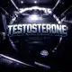 Аватар канала TESTOSTERONE NAVIGATION