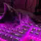 Аватар канала Nexus Studio V2