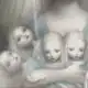 Аватар канала 𐙚 ࣪𝘒𝘢𝘨𝘢𝘮𝘪 𝘯𝘰 𝘯𝘢𝘬𝘢𝘯𝘰 𝘴𝘦𝘬𝘢𝘪 (鏡の中の世界)