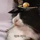 Аватар канала Мурчалочная 🔊