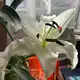 Аватар канала Ателье