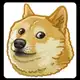 Аватар канала Grumpy Dog
