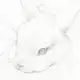 Аватар канала 𓂃⌗ 𝗂𝗇𝖿𝗈 𝗁𝗂𝗍𝗈𝗋𝗂 ︎ ︎︎ ︎♪︎