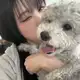 Аватар канала rintokki . com