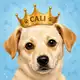 Аватар канала OG Cali - Musk's New Pup