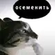 Аватар канала переходник