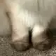 Аватар канала don’t touch my soul