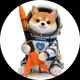 Аватар канала ALPHA3 🐶🚀The Asteroid Shiba Rocket