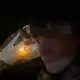 Аватар канала Янгалорд и его шизофрения
