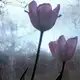 Аватар канала водичка