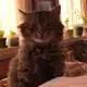 Аватар канала Триггер Квшника На «...»