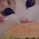 Аватар канала Инфо Горди!! 🎃