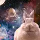 Аватар канала Rabbit Cf : [Info ]
