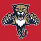 Аватар канала Florida Panthers | Пантерз
