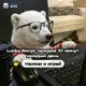 Аватар канала LB VIPPPage