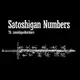 Аватар канала Satoshigan Numbers
