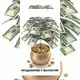 Аватар канала Движение и выплаты$$$ команды ВИН ВИН