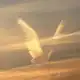 Аватар канала ⲓⲛϝⲟ || ʀⲏ
