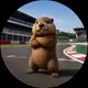 Аватар канала Life for Marmots