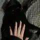 Аватар канала Dari