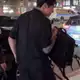 Аватар канала Беrлин